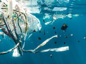 La gestion des déchets plastiques