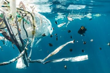 La gestion des déchets plastiques
